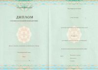 Диплом о профессиональной переподготовке с 2013 по 2024 год Россия